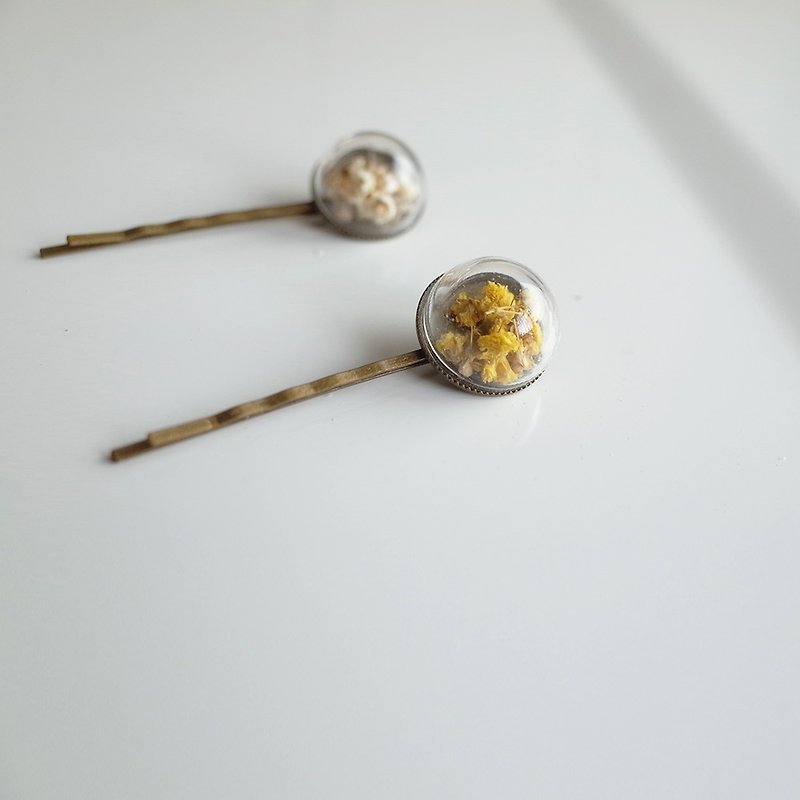 【Q-cute】 dry flower half glass ball - starlight hairpin - Hair Accessories - Other Metals Orange