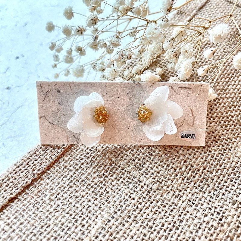 | FE05 Volendam | Dried Flower Earrings - ต่างหู - พืช/ดอกไม้ ขาว