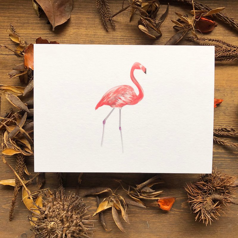 鳥鳥系列 紅鶴 明信片 - 卡片/明信片 - 紙 白色