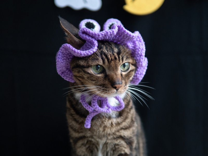 [Halloween Limited Series] Pet Bib Cat Monster Big Eyes Hat - Collars & Leashes - Cotton & Hemp Purple