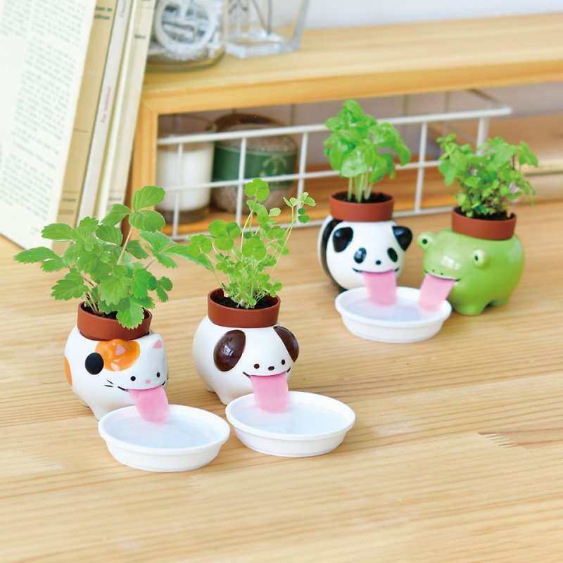 Peropon tongue sticking animal self-absorbing planting set - Plants - Pottery Multicolor