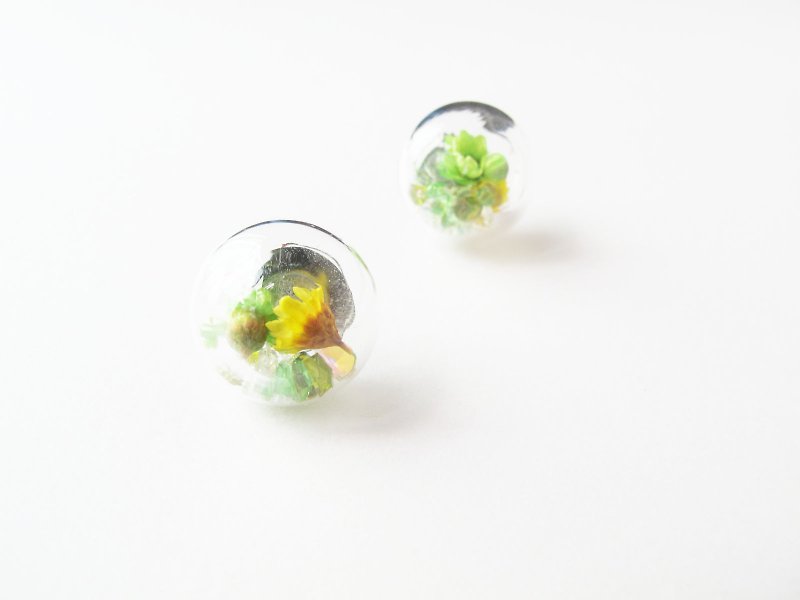 ＊Rosy Garden＊Dried Daisies with crystals inside earrings (Green) - Earrings & Clip-ons - Plants & Flowers Green