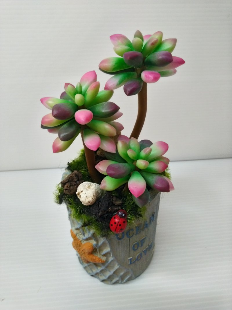 Order-made model/simulation potted succulent series-Fubuki's Pine Brocade - ตกแต่งต้นไม้ - พืช/ดอกไม้ หลากหลายสี