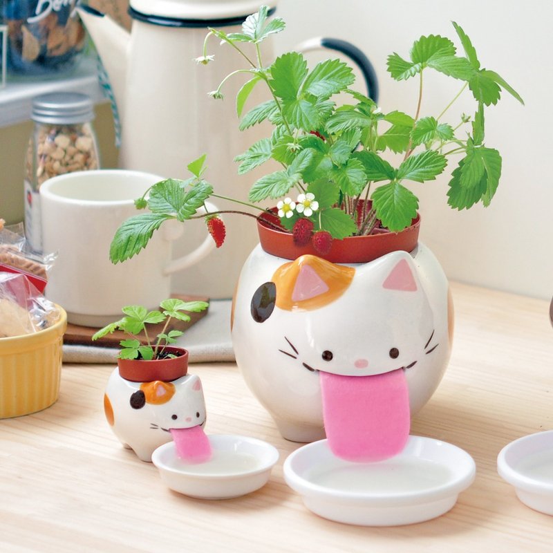 【父親節限定】Peropon 水耕植栽盆器 / 吐舌動物父子組合 - 盆栽/植栽 - 陶 多色