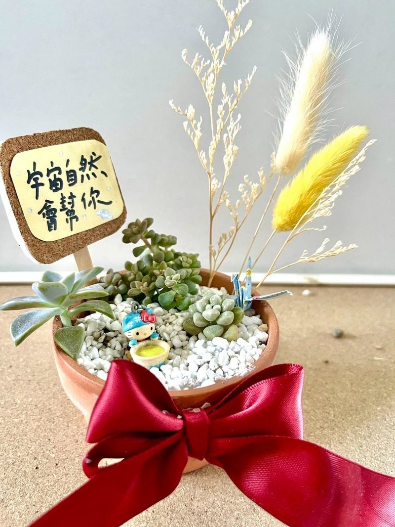日式枯山水 多肉植物 多肉盆栽 微景觀 Kitty 凱蒂貓 三麗鷗 送禮 - 盆栽/植栽 - 植物．花 綠色