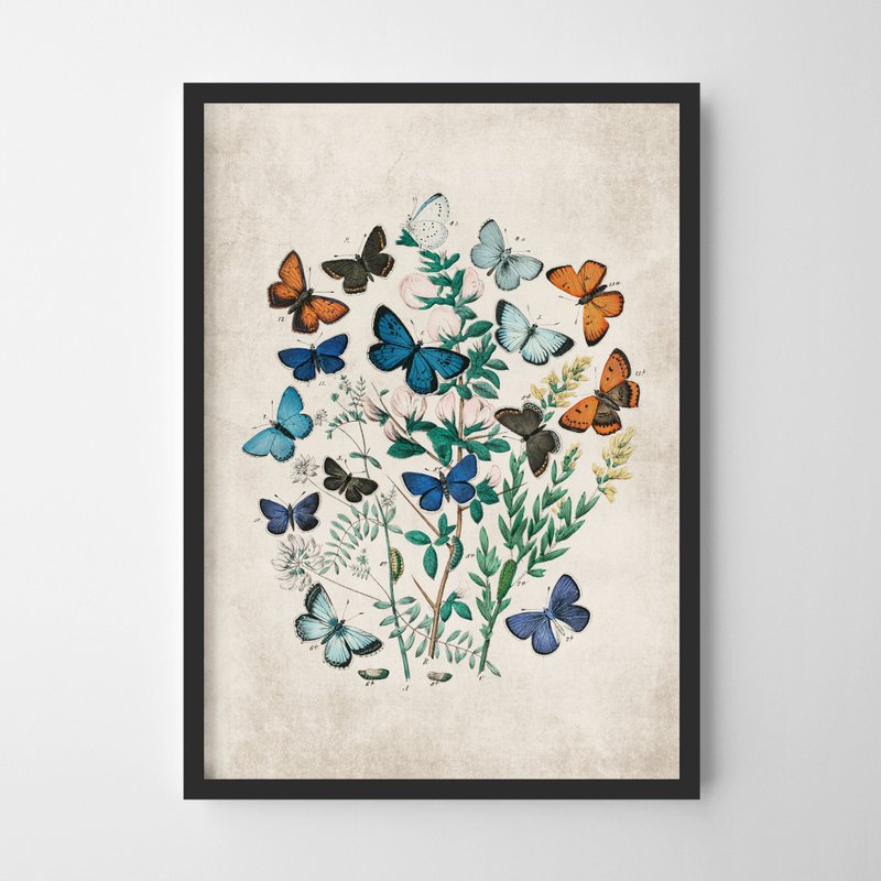 vintage Butterflies print #1 復古 可客製化 海報 掛畫 - 海報/掛畫/掛布 - 紙 