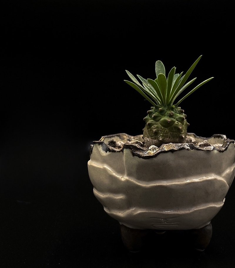KO basin - metal white three-legged basin - Plants - Pottery 