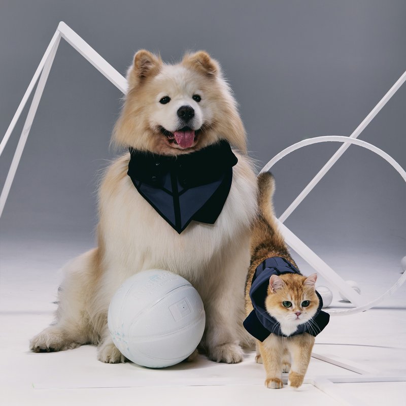 GOAL! 束腰造型寵物領巾 - 項圈/牽繩 - 其他材質 