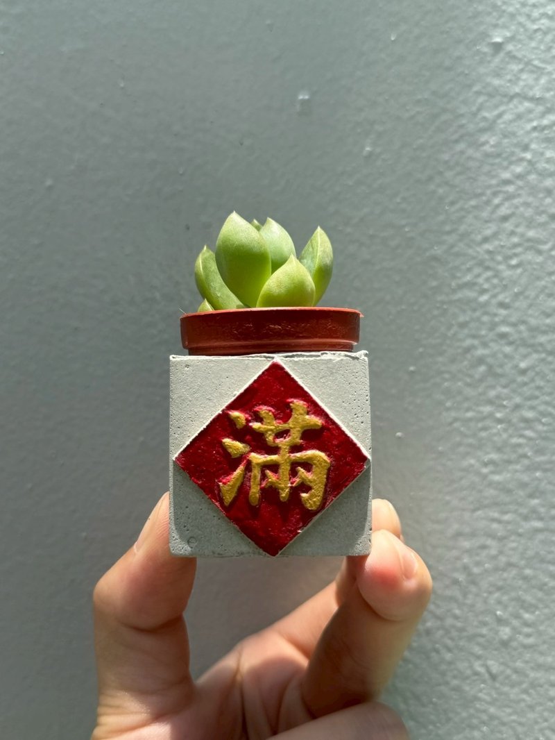 滿 紅通通 新年磁鐵盆栽 送多肉 - 盆栽/植栽 - 水泥 紅色