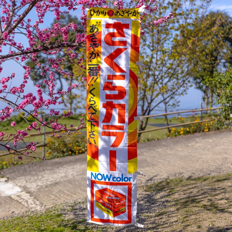 Sang Hui Company 1967s Japanese Sakura brand film advertising commemorative flag さくらカラー N-100 - ของวางตกแต่ง - ผ้าไหม หลากหลายสี