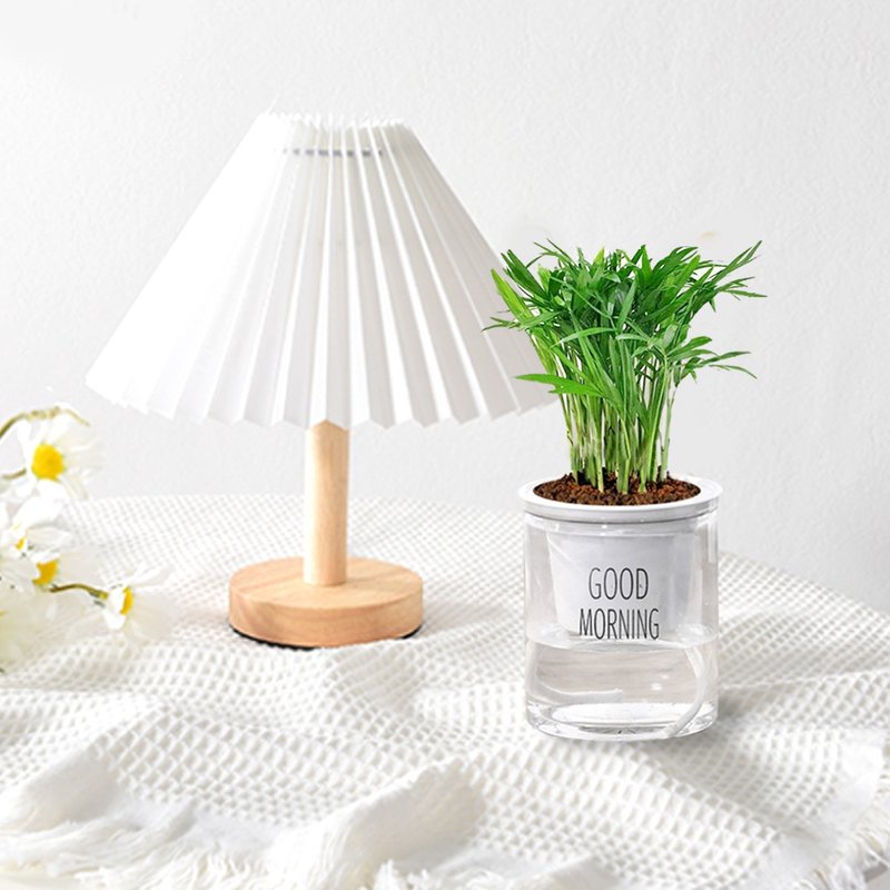 Pocket coconut lazy potted plant - ตกแต่งต้นไม้ - พลาสติก หลากหลายสี