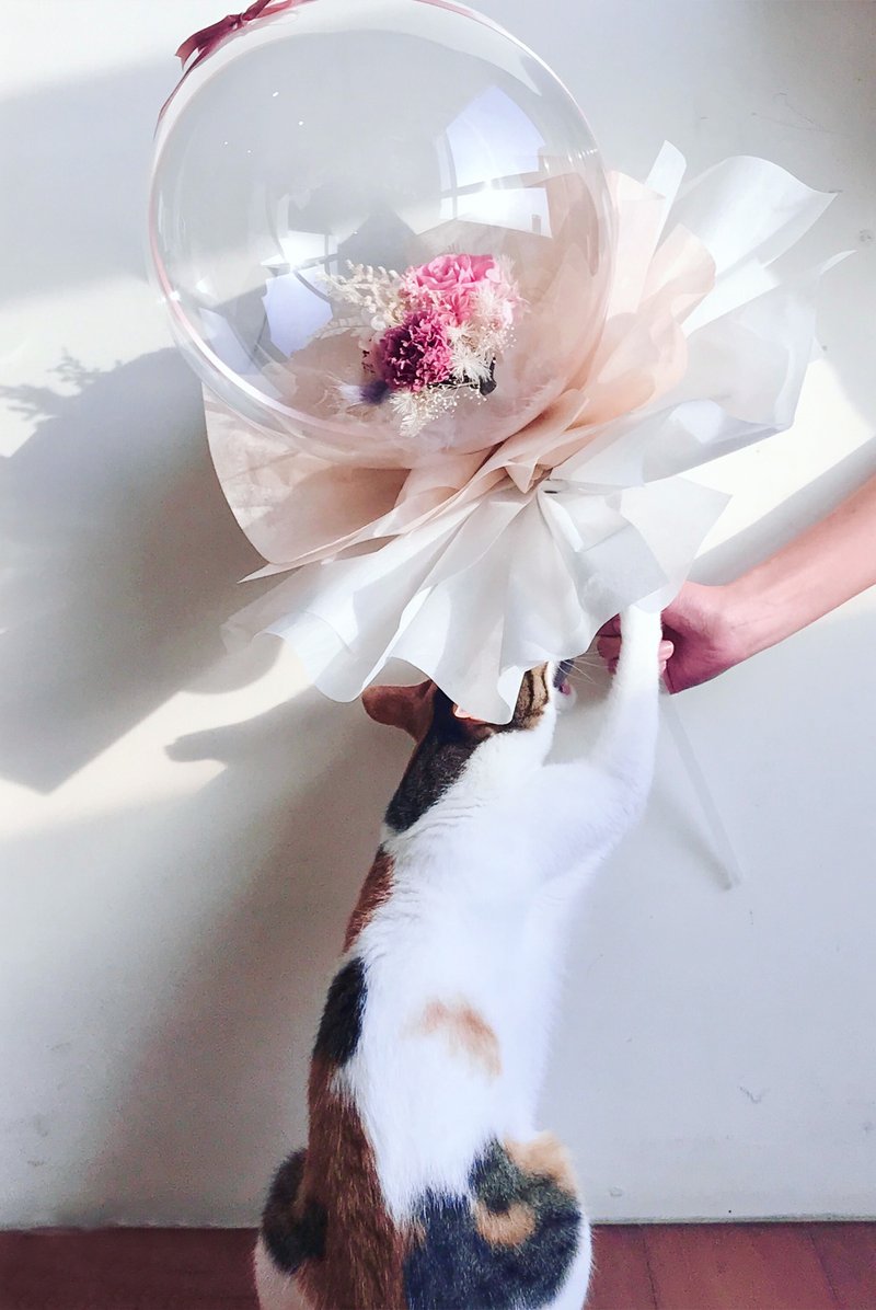 玫瑰永生花 波波氣球 / 生日 / 求婚 / 結婚 / 派對 / 畢業 - 乾燥花/永生花 - 植物．花 
