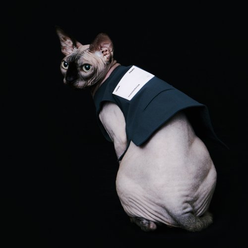 momotone yama paws / basalt 灰色功能背心