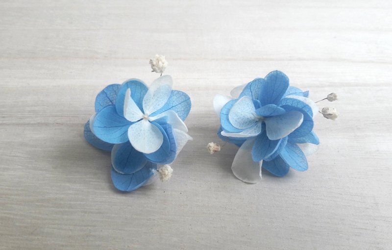 And real flowers || Baiyun Cangxiong dry flower earrings jewelry hand - ต่างหู - พืช/ดอกไม้ สีน้ำเงิน