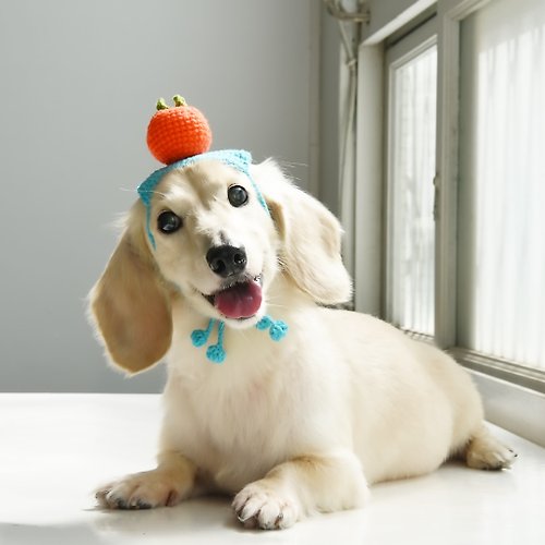 ZAZAZOO 新年限定 | 大吉大利 | 寵物針織橘子頭套