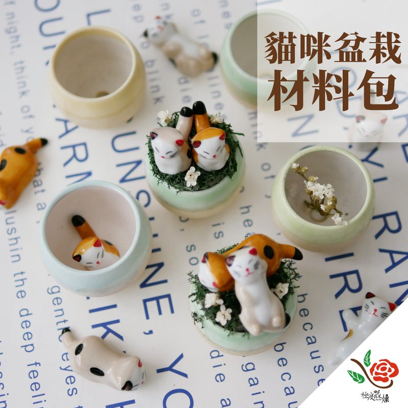 Cat Potting Material Pack Extremely Dry Preserved Flower Gift - จัดดอกไม้/ต้นไม้ - พืช/ดอกไม้ หลากหลายสี