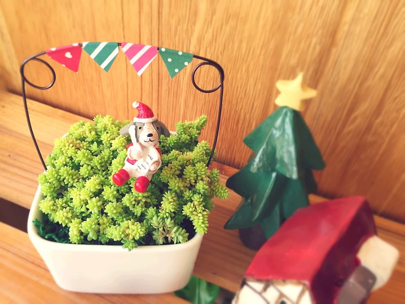 (Potted plant) Zoo Party Animal Party Christmas Succulent Small Gifts Healing Small Animal Decorations A small potted plant exchange gift Christmas can be pre-ordered to specify the arrival date - Plants - Plants & Flowers Green