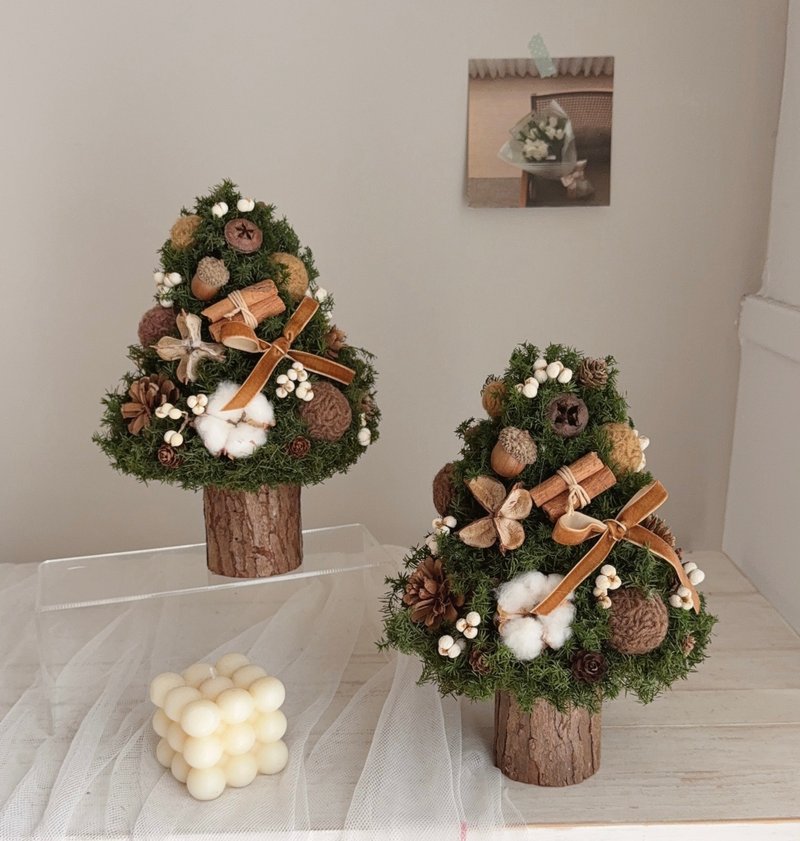 焦糖可可 永生雪松聖誕樹 - 乾燥花/永生花 - 植物．花 