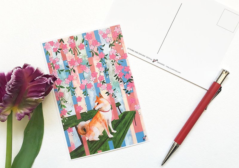 Set of 3 Japan Postcard // Shiba and Sakura  // Japan Series - การ์ด/โปสการ์ด - กระดาษ สึชมพู