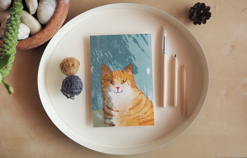 Postcard cat - 卡片/明信片 - 紙 透明