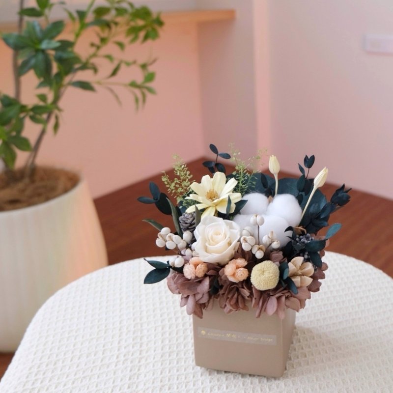 Square everlasting small potted flower coffee - ช่อดอกไม้แห้ง - พืช/ดอกไม้ สีนำ้ตาล