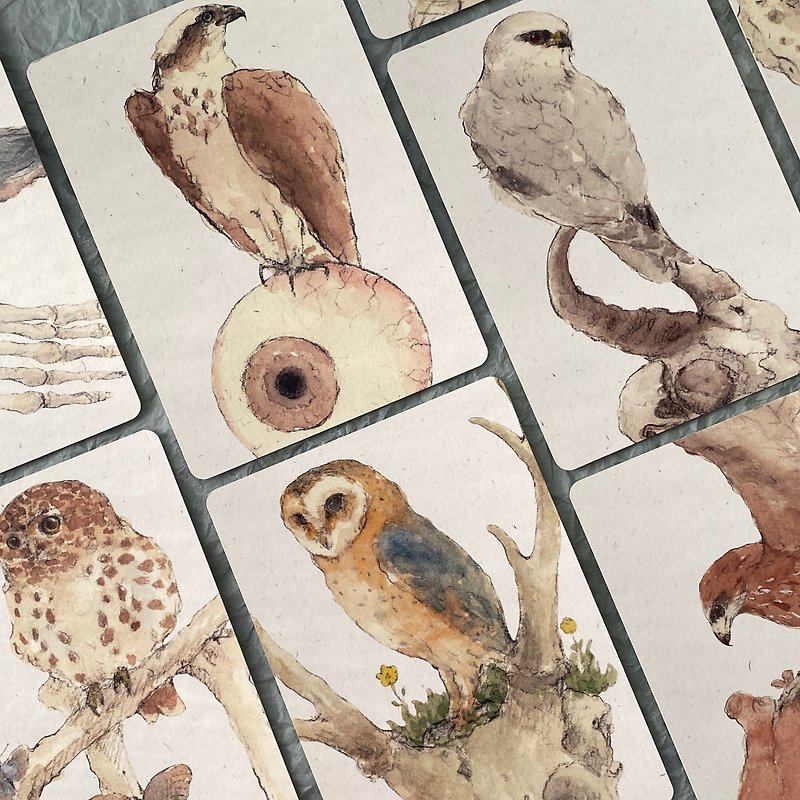 Eagle Owl Raptor Postcard Single/Group - Cards & Postcards - Paper 