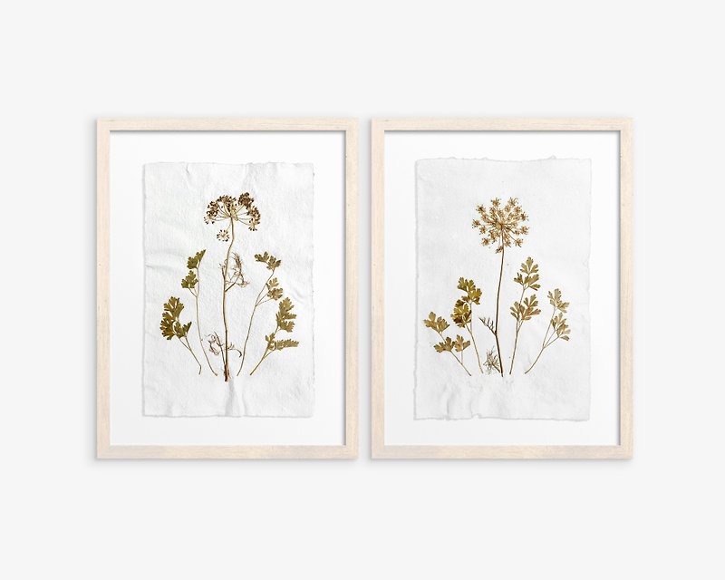Gallery wall set of 2 Brown fennel green parsley pressed plant Original artwork - Posters - Paper Khaki