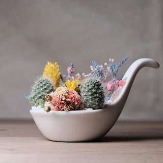 Full with a spoonful of dried flower fleshy potted DIY kit succulents potted