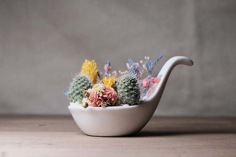 Full with a spoonful of dried flower fleshy potted DIY kit succulents potted - Plants - Paper White