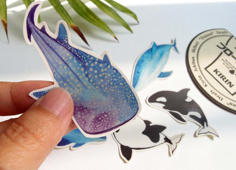 Whale Design / Waterproof / Sticker - สติกเกอร์ - กระดาษ 