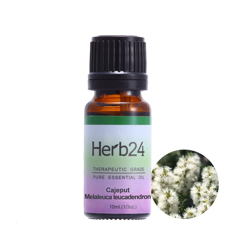 白千層 純質精油 10ml - 香氛/精油/擴香 - 精油 