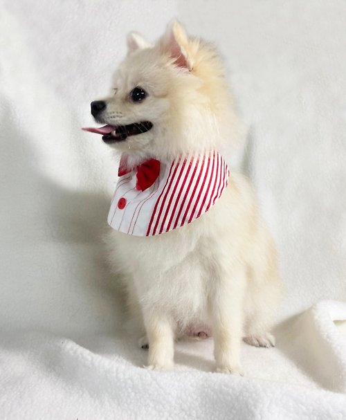 Duke Mao 毛公爵 條紋蝴蝶結領巾(紅) 寵物服飾 領巾 衣服 (可繡字)