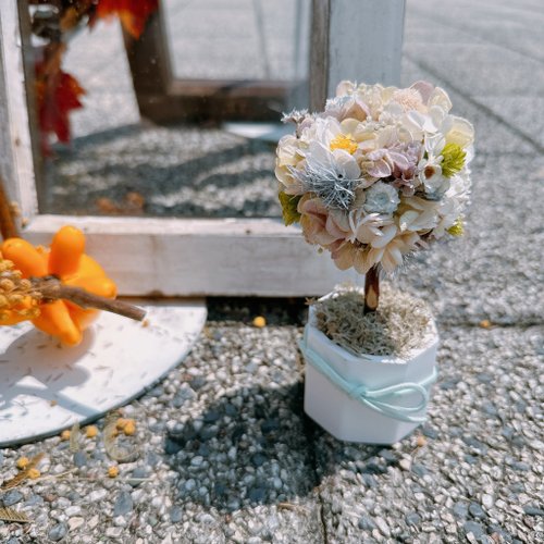 咖朵花藝 Caldo Floral 永生繡球花樹 乾燥花 永生花 擴香生日禮物 客製化禮物 情人節