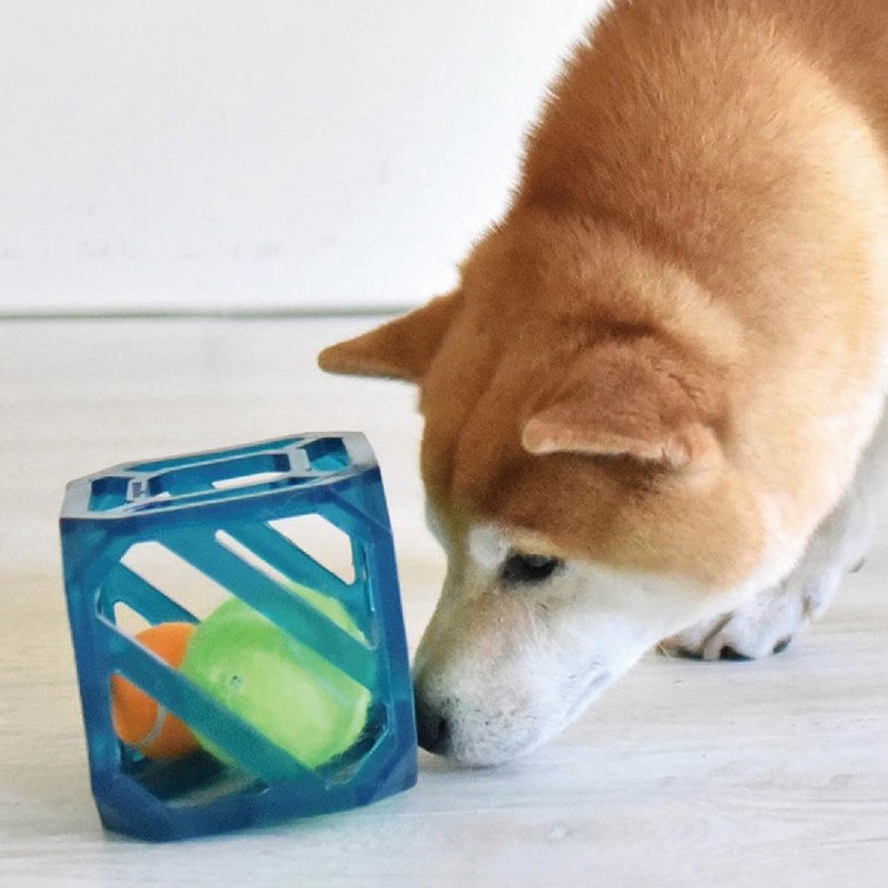 Dog Puzzle Interactive Cube Tennis Pet Sound Toy - ของเล่นสัตว์ - วัสดุอื่นๆ 