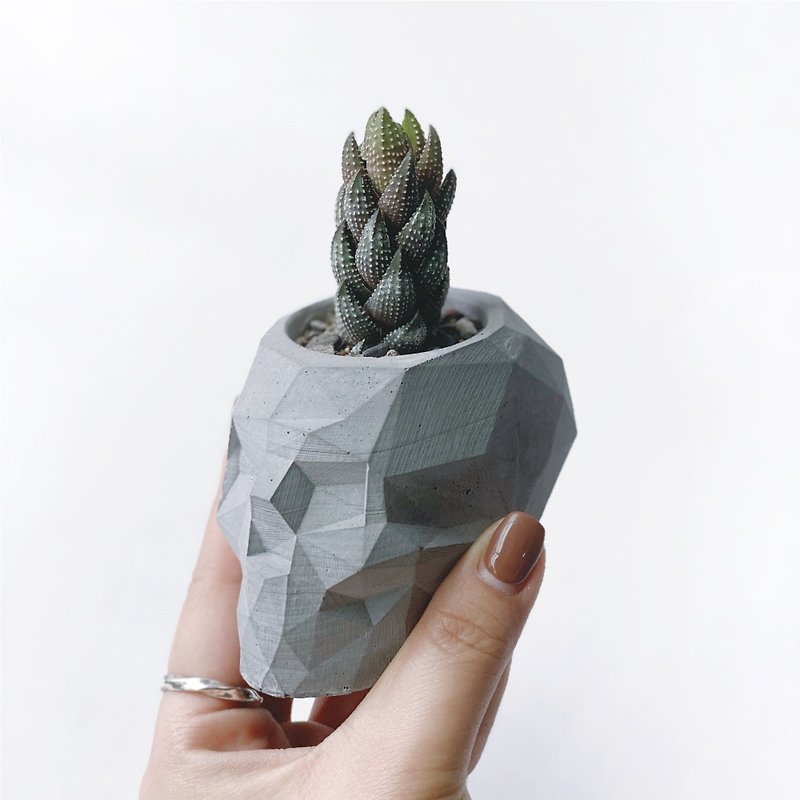 (Spot) Dark Series | Jiulun Tower Geometric Skull Dark Gray Cement Succulent Plant - ตกแต่งต้นไม้ - พืช/ดอกไม้ สีดำ