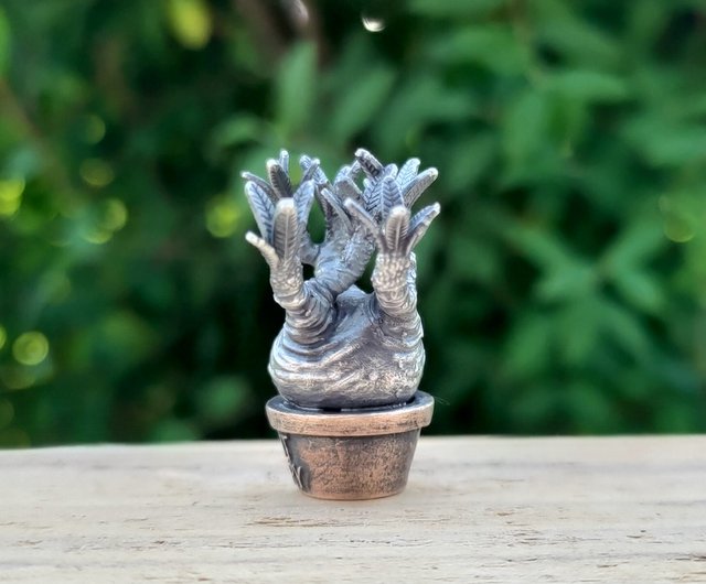 塊根植物 パキポディウム グラキリスのペンダント003 革紐