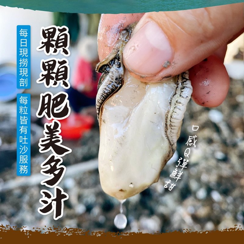 【好美農漁產】嘉義產地直送鮮撈蚵肉4袋免運組(冷藏) - 其他 - 塑膠 透明
