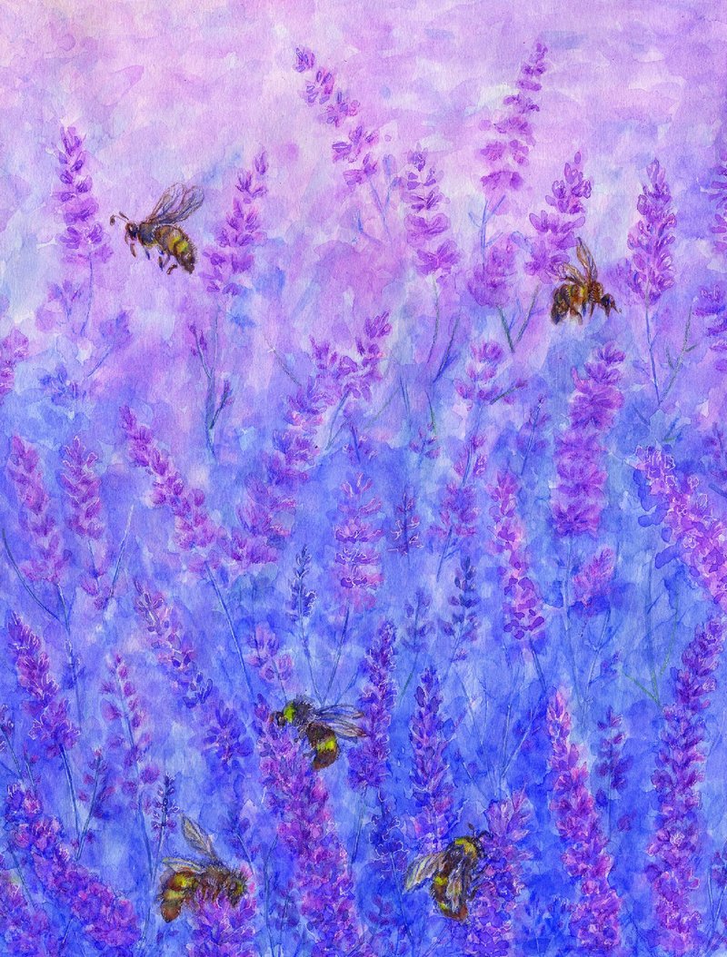 Lavender Painting,Watercolor Flowers,Honey Bee Original Art,Purple Flowers Art - ตกแต่งผนัง - กระดาษ สีน้ำเงิน