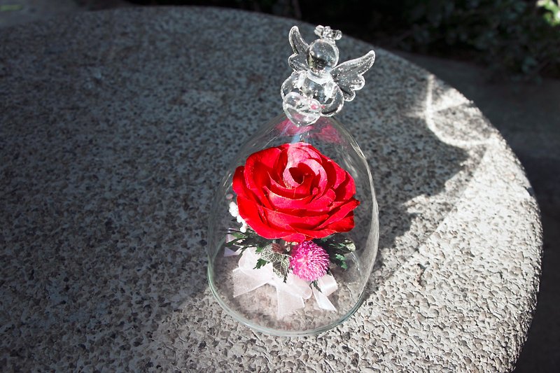 不渝保鮮花 - 天使紅玫瑰 紀念日 情人節 送禮 - 乾燥花/永生花 - 植物．花 紅色