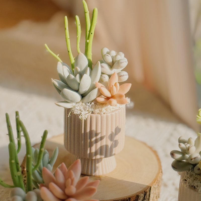 -The first choice for gifts-Clay succulent garden C-5-vertical pattern (small) - ของวางตกแต่ง - ดินเหนียว หลากหลายสี