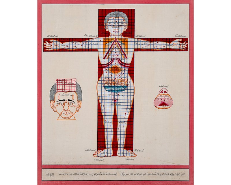 Tibetan Anatomical Chart: An Enlightening Exploration of Human Anatomy - ตกแต่งผนัง - วัสดุอื่นๆ 