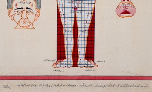 タンカ　チベット直筆人体図　ドクロ タンカ チベット直筆人体図 ドクロ