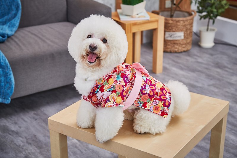 【Mao Duke】Pet clothes and kimono - Clothing & Accessories - Cotton & Hemp Multicolor