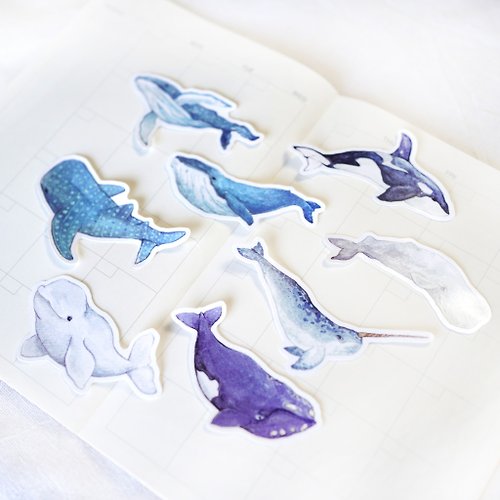 Deville Colour 【鯨歸何處】防水透明 水彩 手帳貼紙 鯨魚 鯨落