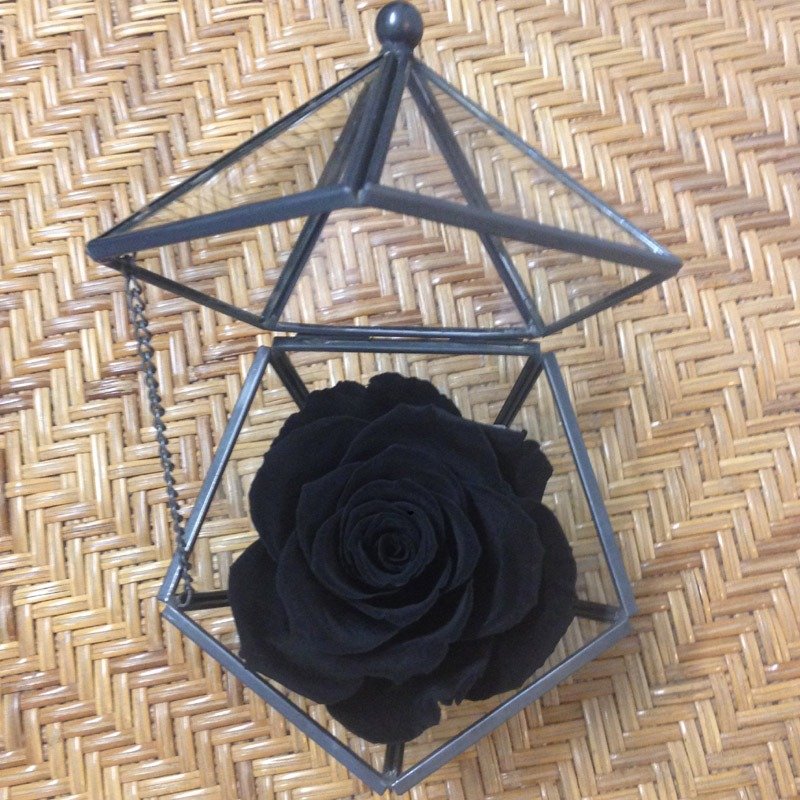  五角形玻璃珠寶盒 天鵝黑 不凋玫瑰花 - 乾燥花/永生花 - 植物．花 黑色