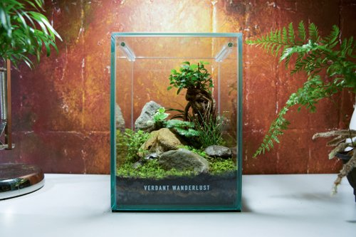 景觀丸藝 Verdant Wanderlust 【生態缸-榆夢微塵】微景觀 室內植栽 禮物 辦公室擺設