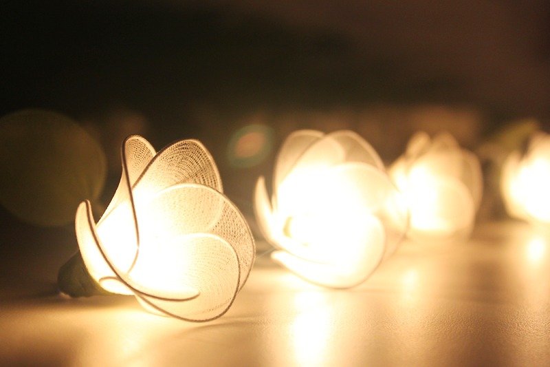 วัสดุอื่นๆ โคมไฟ - 20 Handmade White Flower String Lights for Home Decoration Wedding Party Bedroom Patio and Decoration