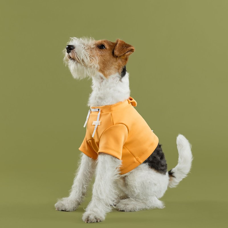 bump up Crop Hoodie, Orange Color, Dog Clothing, Cute Dog Clothes - ชุดสัตว์เลี้ยง - เส้นใยสังเคราะห์ สีส้ม