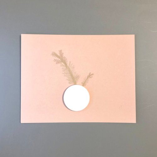 V.N Art Design V.N【紀念系列-米花】會擴香的明信片【客製化禮物/情人節禮盒】