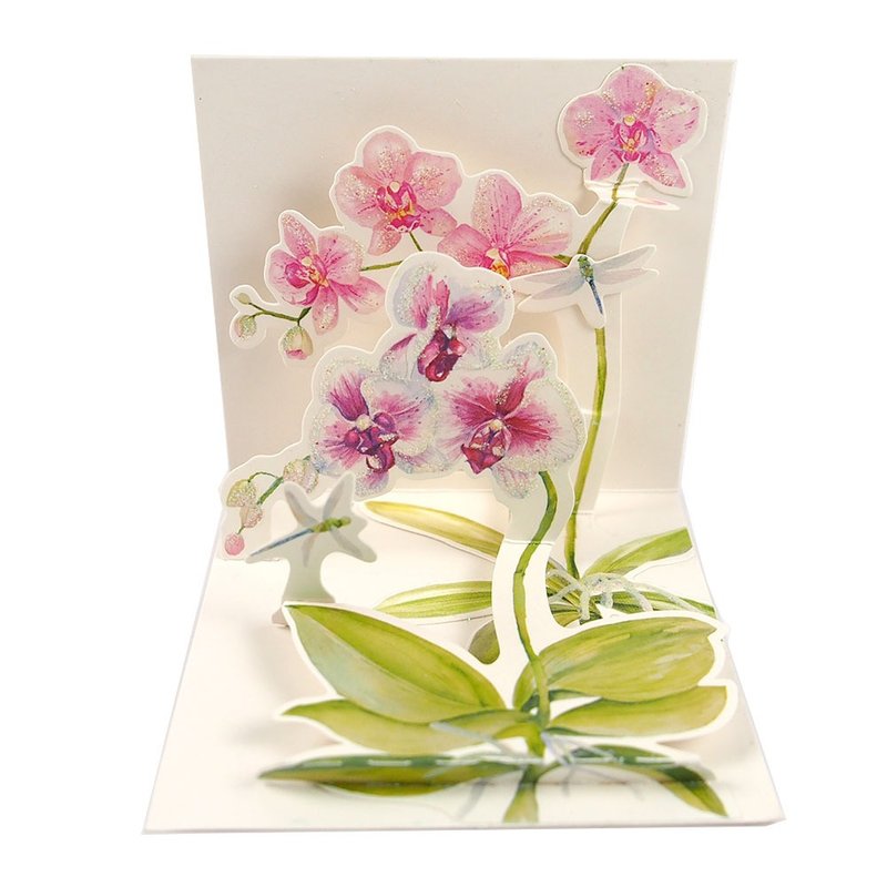 TRKミニカード - 蘭とトンボ 【Up With Paper - 立体カード 多目的】 - はがき・メッセージカード - 紙 多色